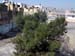 CampTree_9881