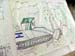 DrawingTreeUprooted_9859