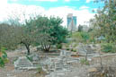 Mamillah cemetery, West Jerusalem
