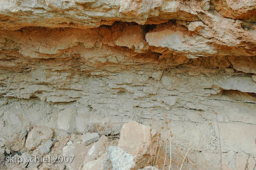 Layers of limestone, indicating this entire region was submerged beneath an ocean