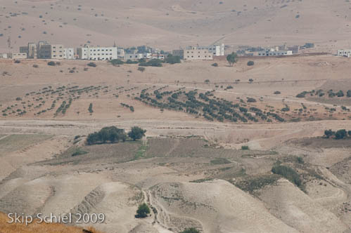 DSC_5672