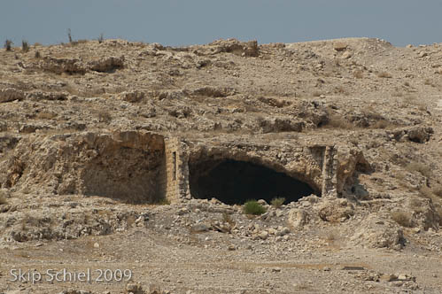 DSC_5698