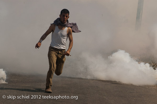 Prisoners rights demonstration-Ofer Prison-8744