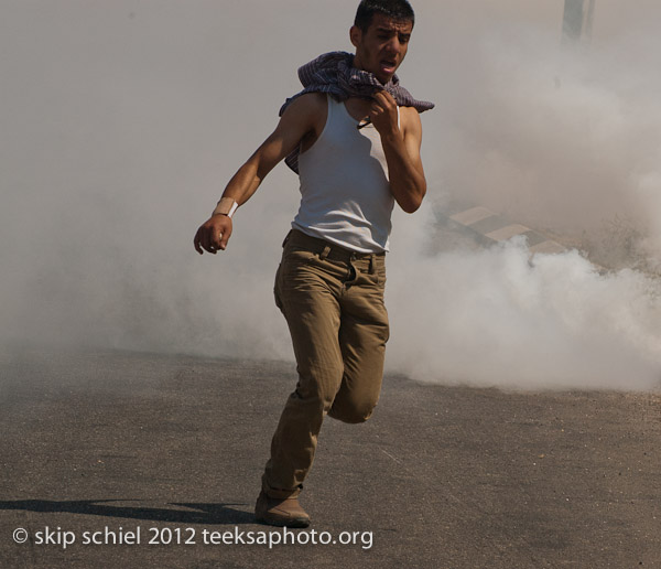 Prisoners rights demonstration-Ofer Prison-8745