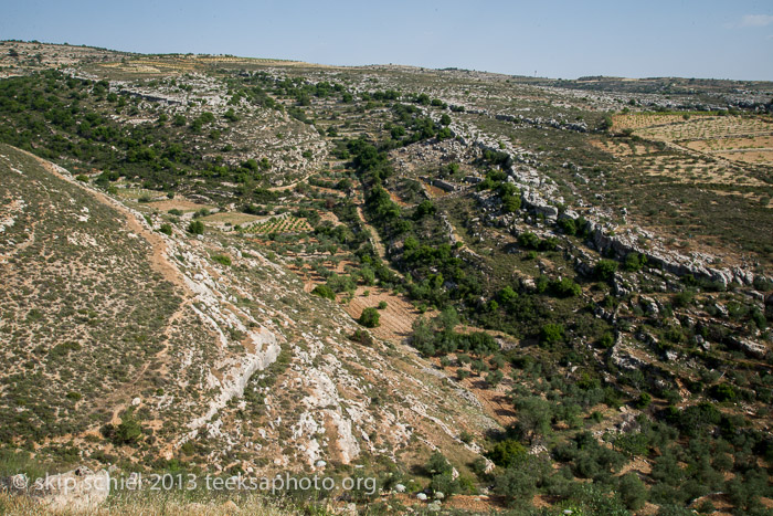 Palestine-Israel-Battir-Terraces-5111