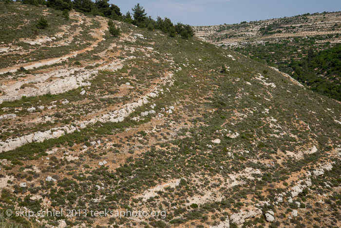 Palestine-Israel-Battir-Terraces-5114