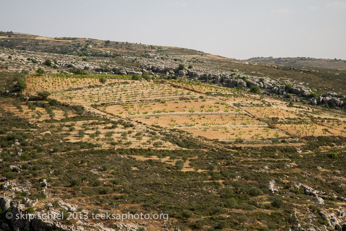 Palestine-Israel-Battir-Terraces-5116