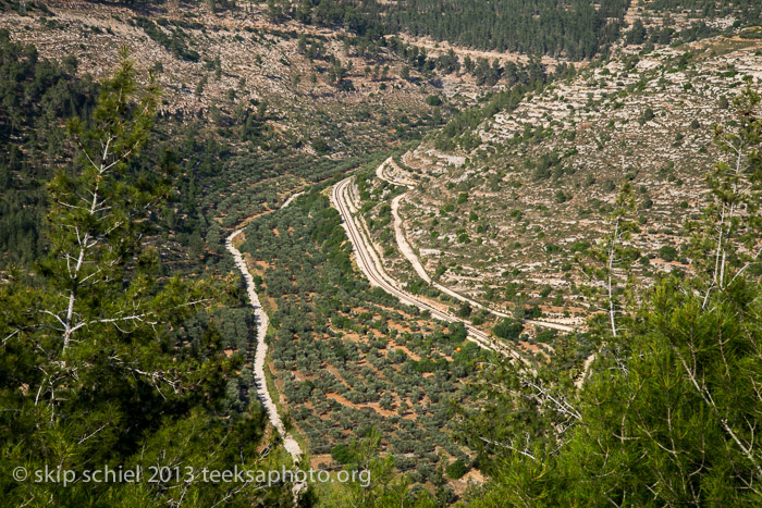 Palestine-Israel-Battir-Terraces-5137