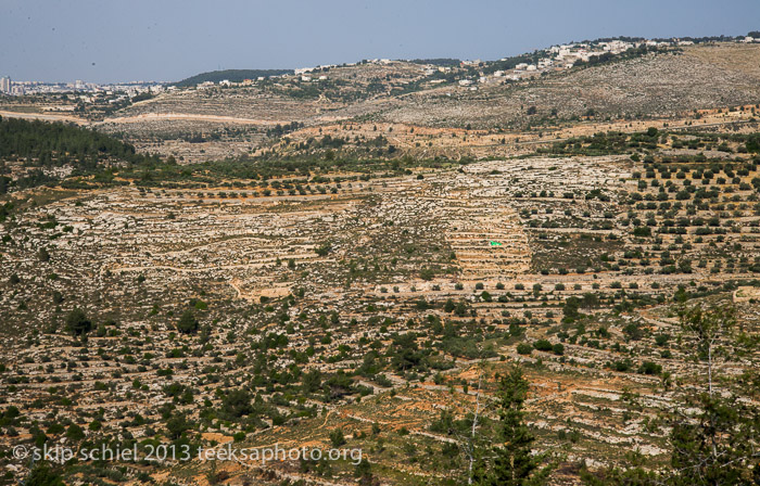 Palestine-Israel-Battir-Terraces-5139