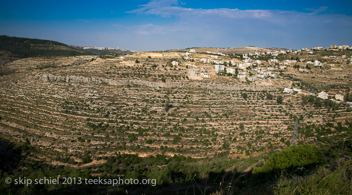 Palestine-Israel-Battir-Terraces-5150