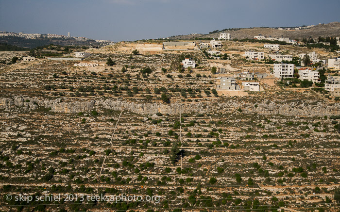 Palestine-Israel-Battir-Terraces-5151
