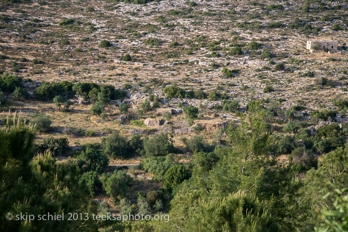 Palestine-Israel-Battir-Terraces-5164