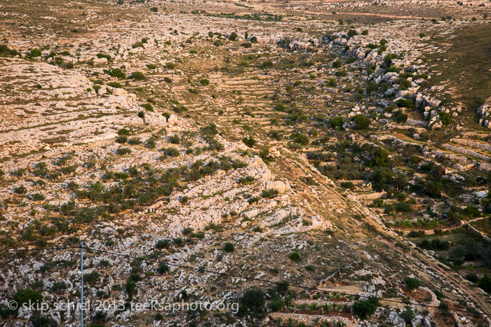 Palestine-Israel-Battir-Terraces-5205