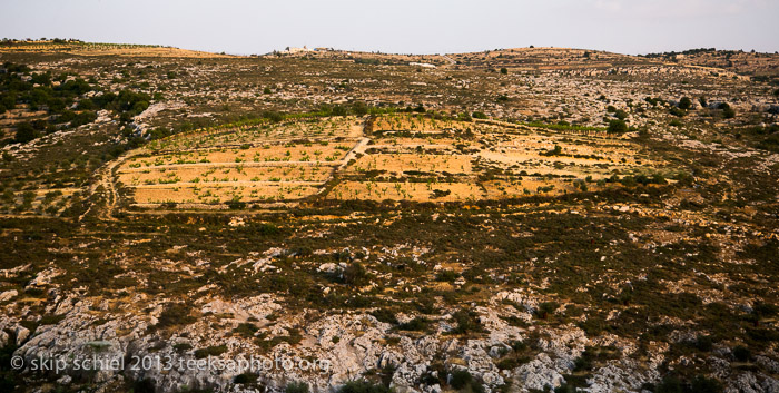 Palestine-Israel-Battir-Terraces-5209