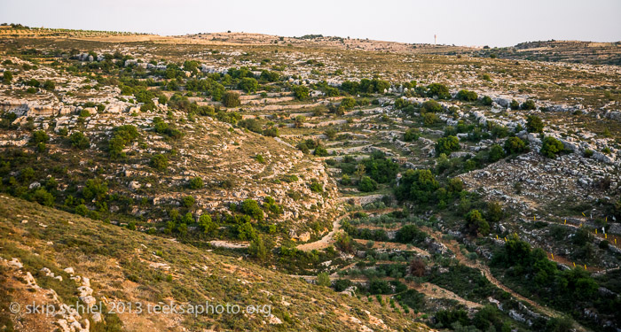 Palestine-Israel-Battir-Terraces-5214