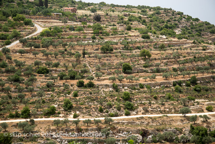 Palestine-Battir-Terraces-6026