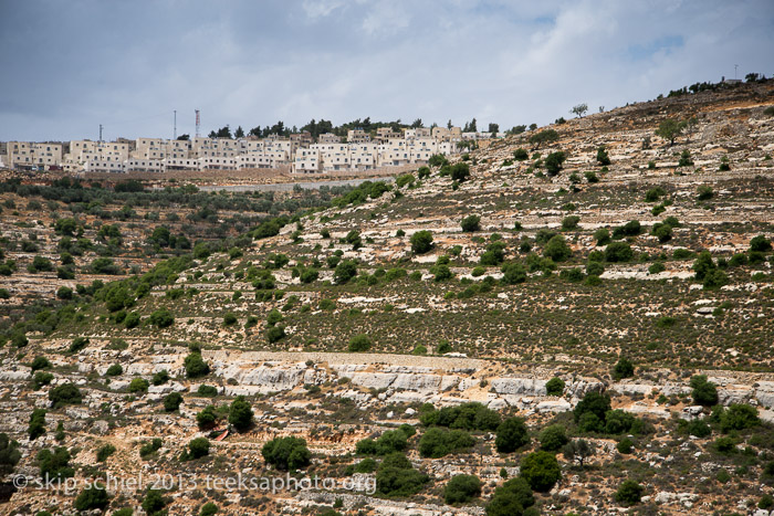 Palestine-Battir-Terraces-6042