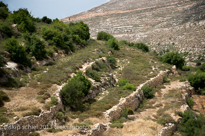 Palestine-Battir-Terraces-6043