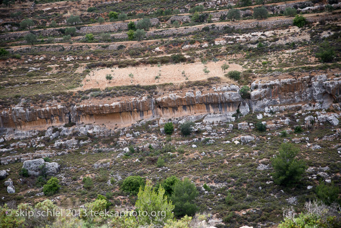 Palestine-Battir-Terraces-6063
