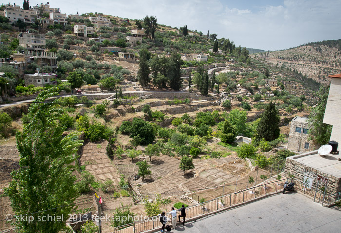 Palestine-Battir-Terraces-6112