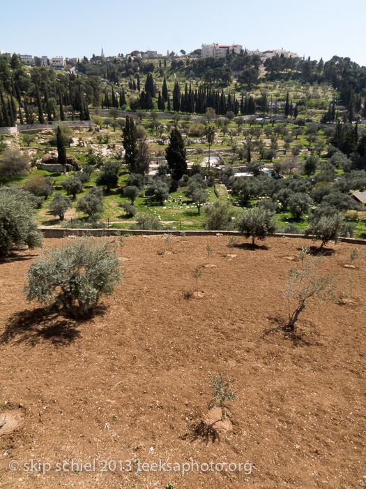 Israel Palestine Mount of Olives Jerusalem-1593