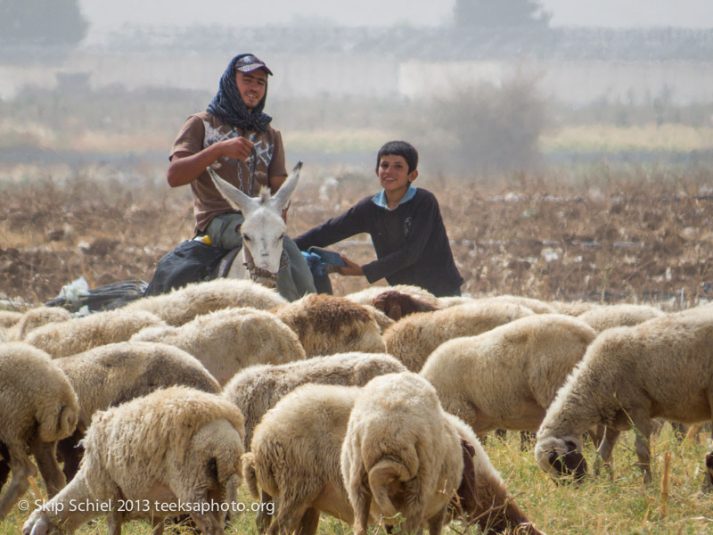 Palestine-Israel-Jordan Valley-6710