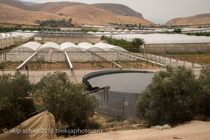 Palestine-Jordan River Valley-7237
