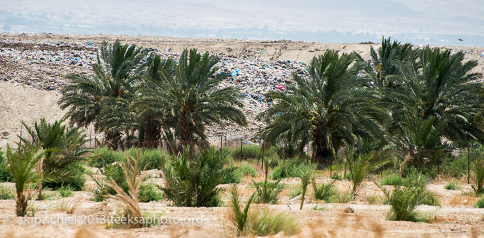 Palestine-Jordan River Valley-7404