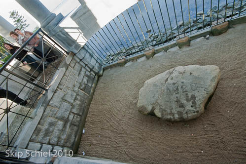 Plymouth Rock-9089