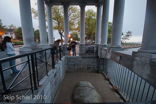 Plymouth Rock-9205