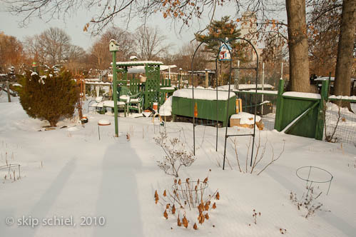 Boston-Emerald Necklace-Winter-6311