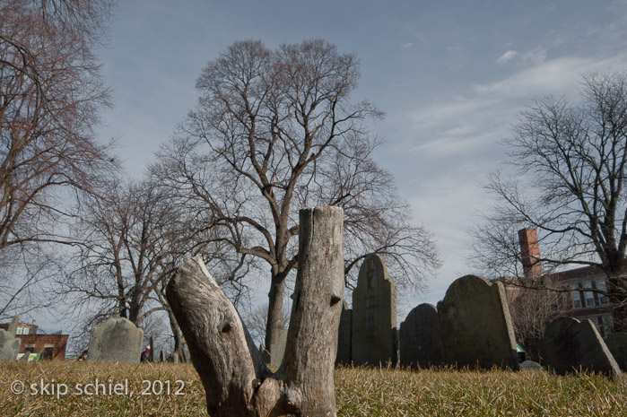 Boston Cemeteries-2183
