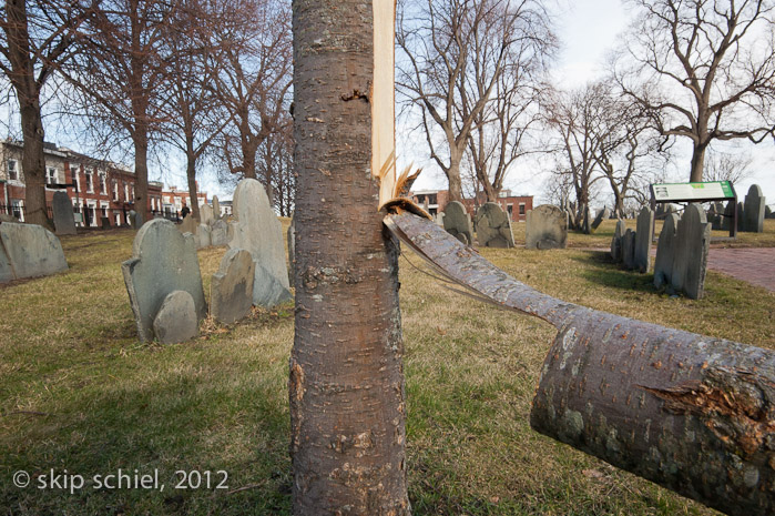 Boston Cemeteries-2184