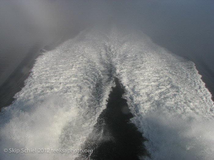 Ferry-Sitka-Alaska-0243