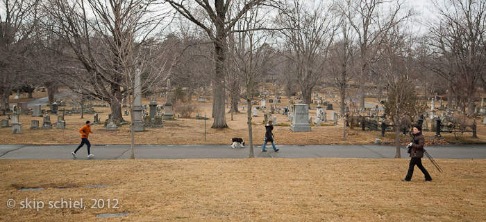 Forest Hills Cemetery-Boston-2606