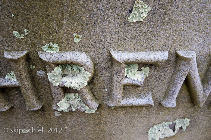 Forest Hills Cemetery-Boston-2613
