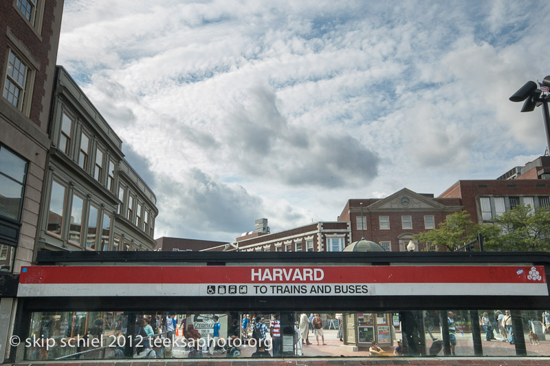 Harvard Square-Central Square-Cambridge-2116