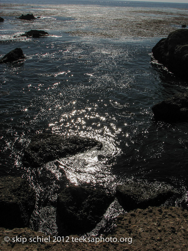 Point Lobos California-0583