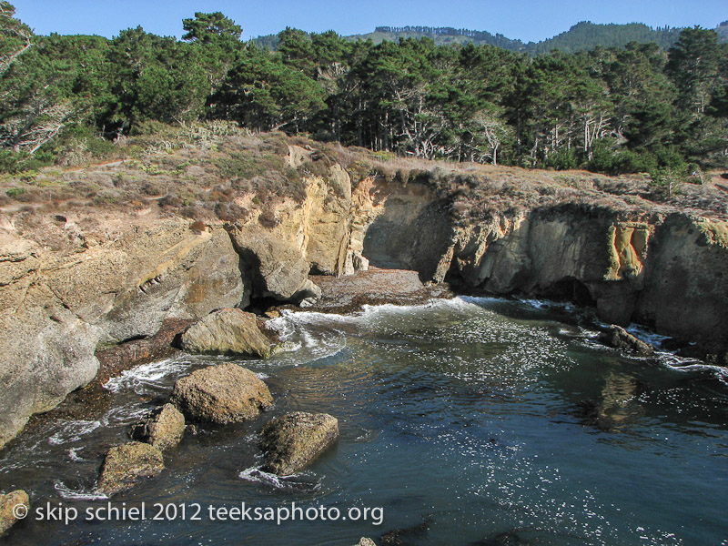 Point Lobos California-0588