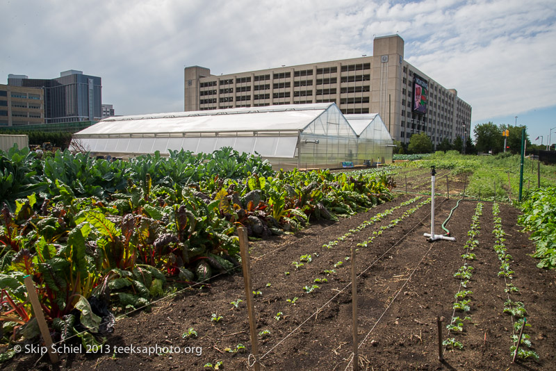 Detroit-Urban agriculture-9359