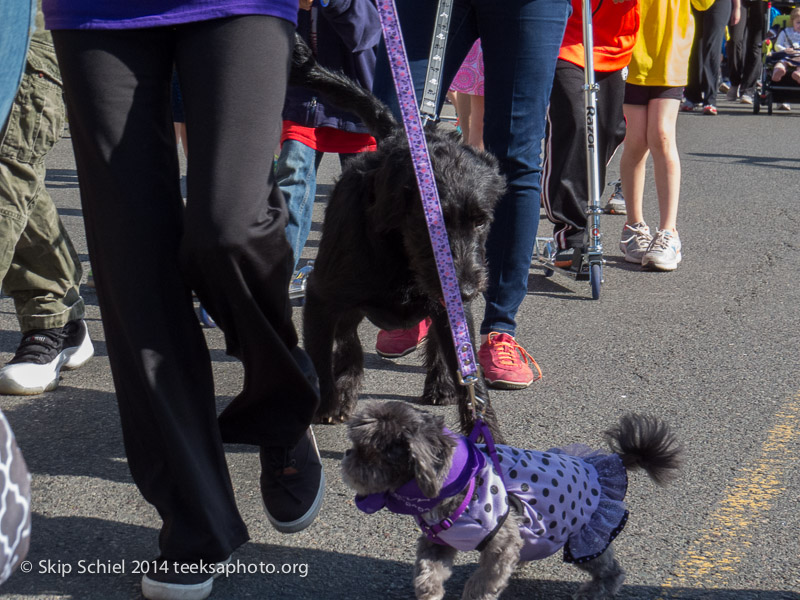 Mother's Day Walk for Peace-Boston-5161