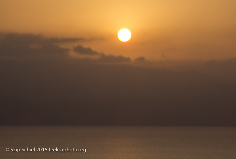 Dead Sea-IMG_4781