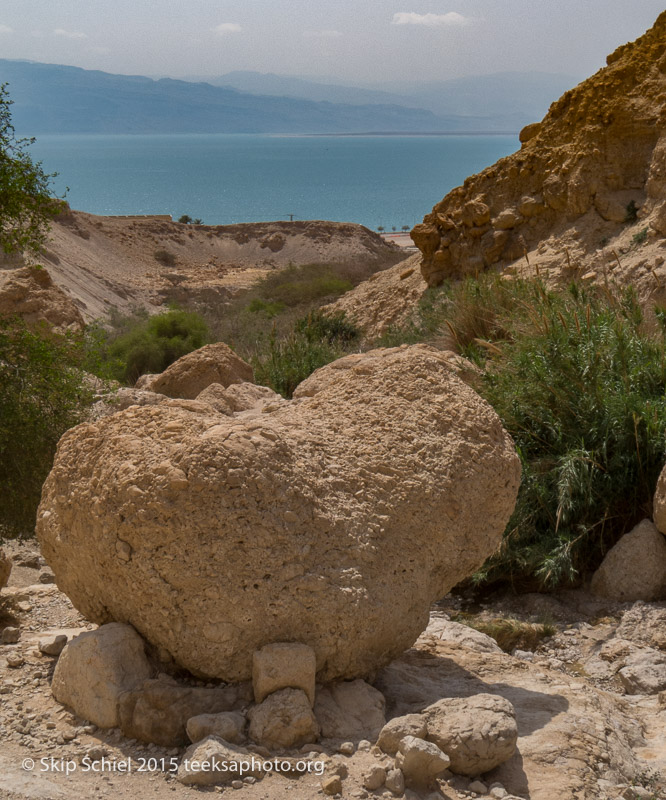 Dead Sea-IMG_4812