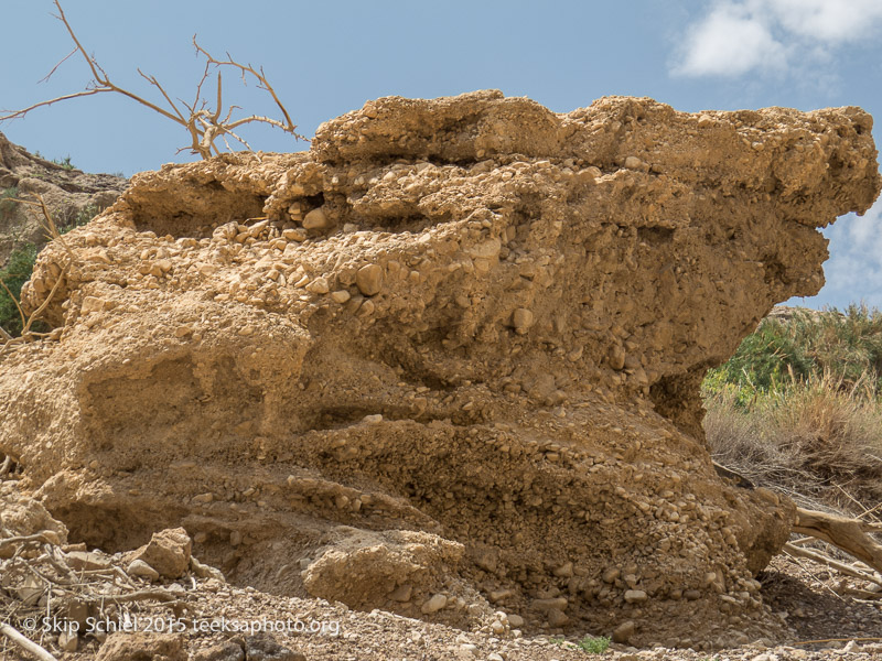 Dead Sea-IMG_4830