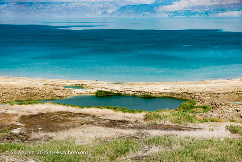 Dead Sea-_DSC9439