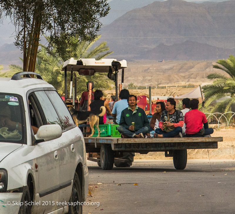 Dead Sea__DSC9553