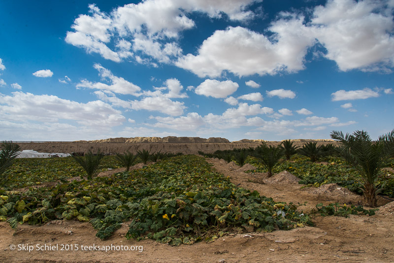 Dead Sea__DSC9563