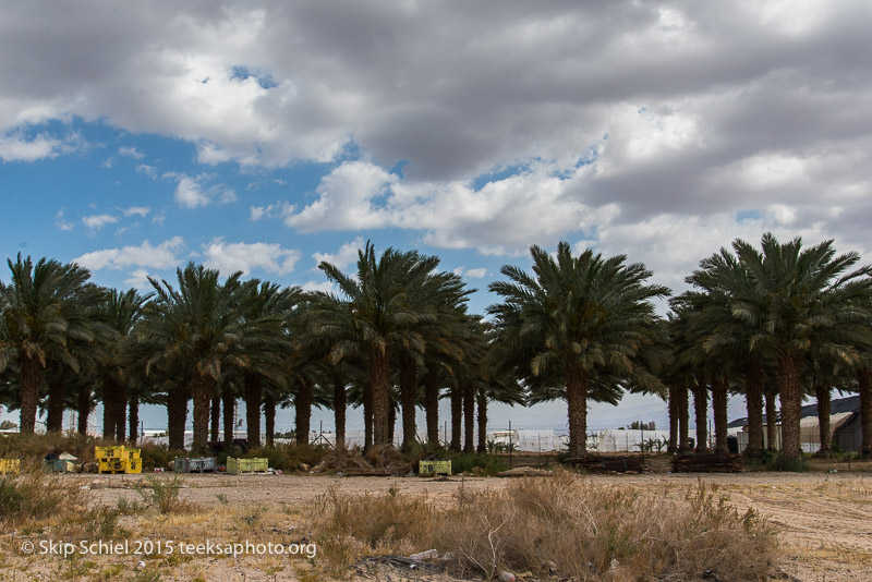 Dead Sea__DSC9573