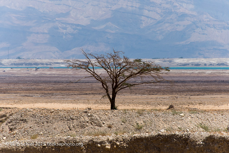 Dead Sea__DSC9612