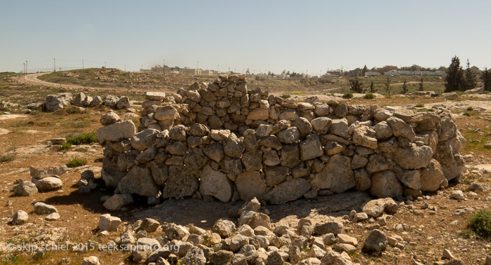 Palestine Israel-Freedom Bus-Tuwani-Southern Hebron Hills-2870